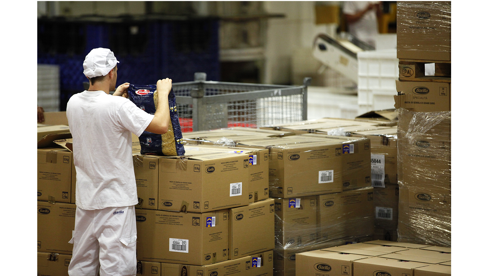 Industrial Pasta Producer