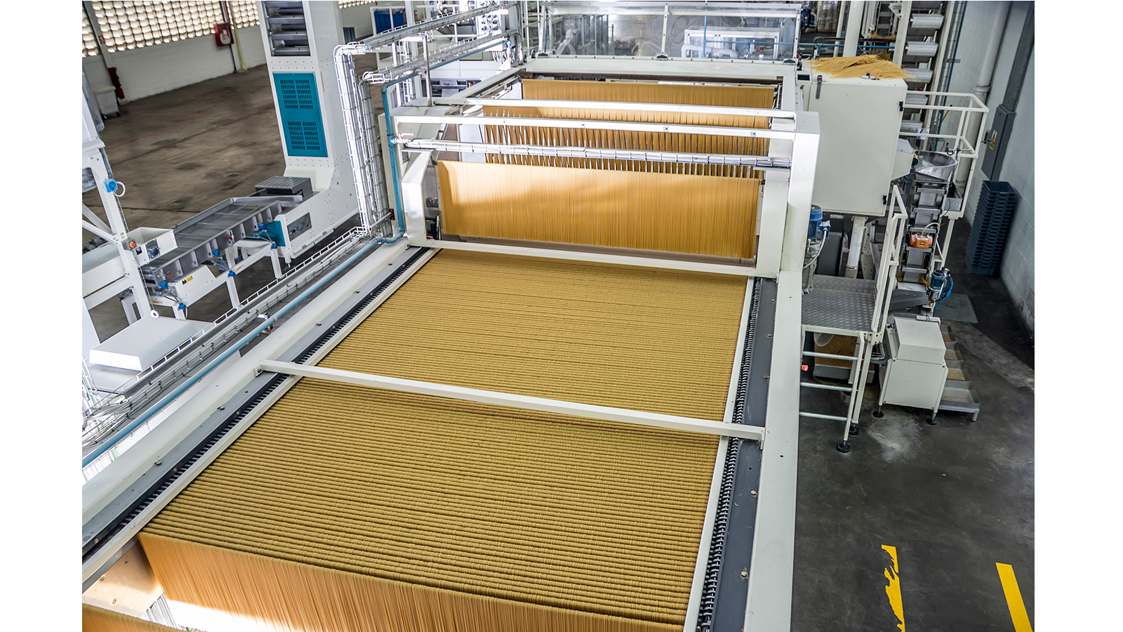 Drawbacks of industrial pasta production.